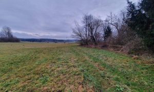 20230115_121654_resized
