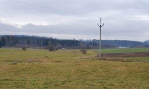 20230115_121726_resized