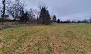 20230115_121750_resized