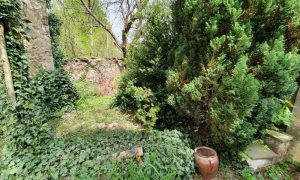 20230511_142323_resized