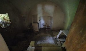 20230511_142346_resized