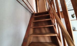 20231004_134312_resized