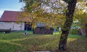 20231029_080210 - kopie