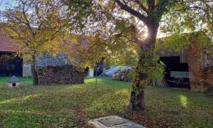 20231029_080307 - kopie