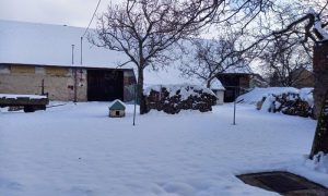 20231208_112413 - kopie