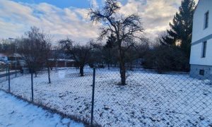 20240116_090256_resized