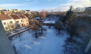 20240116_093231_resized
