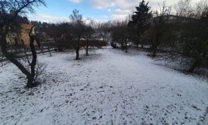 20240116_101242_resized