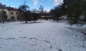 20240116_101412_resized