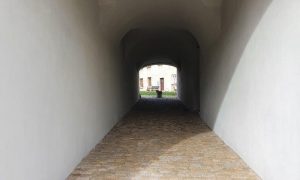 20240314_145147_resized