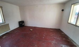 20240314_151500_resized