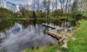 20240422_143156_resized_1