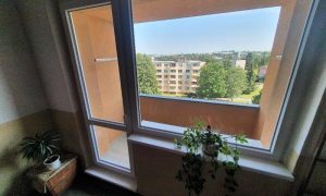 20240715_103523_resized_1