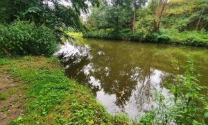 20240805_082831_resized_1