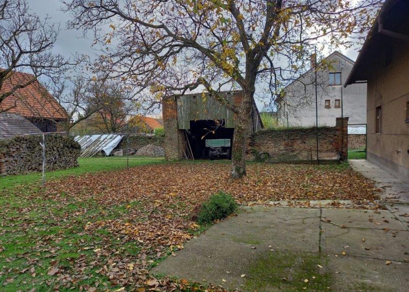 20241102_113612 - kopie