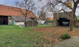 20241102_113620 - kopie