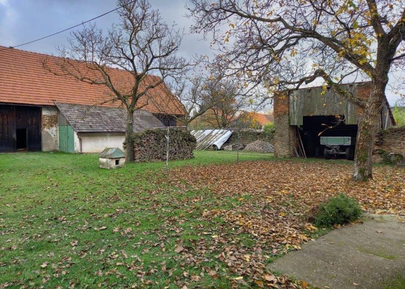 20241102_113620 - kopie