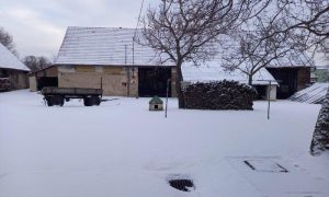 20250104_091415 - kopie