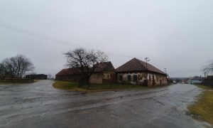 20250313_105429 - kopie