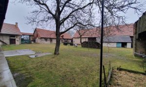 20250313_105939 - kopie
