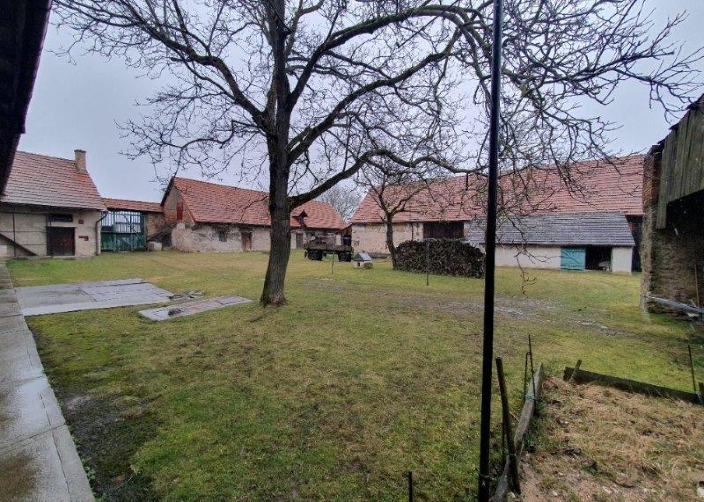 20250313_105939 - kopie