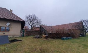 20250313_110009 - kopie