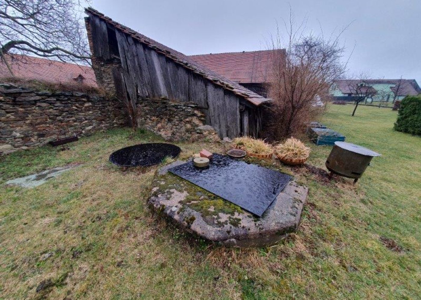 20250313_110018 - kopie