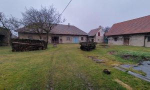 20250313_110322 - kopie