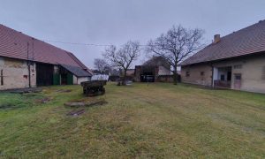 20250313_110455 - kopie