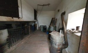 20250313_110656 - kopie
