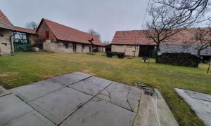 20250313_110754 - kopie
