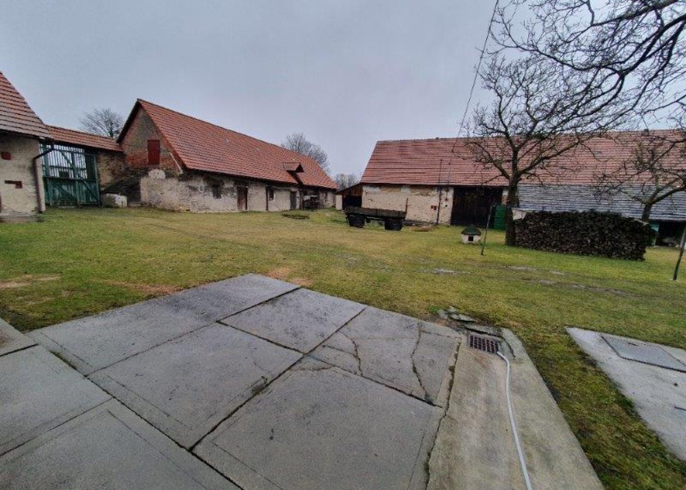 20250313_110754 - kopie