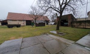 20250313_110801 - kopie