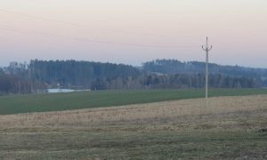20250320_180129