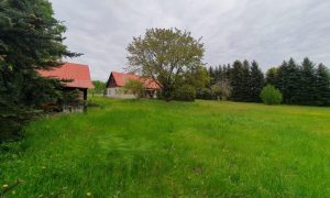 20250510_102658