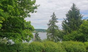20250529_154628 (2)