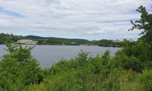 20250529_154735 (2)