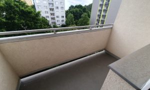 20250529_160139 (2)