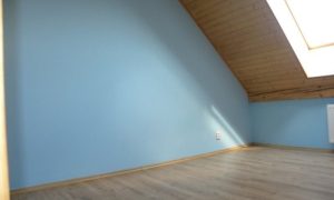 DSCN1621 (2)