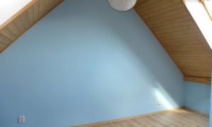 DSCN1622 (2)
