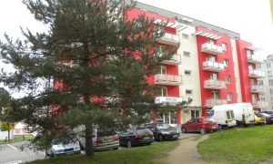 DSCN3986