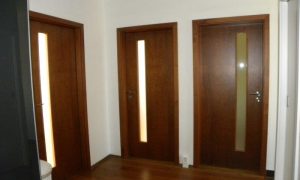 DSCN4072