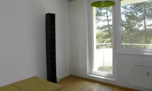 DSCN4079