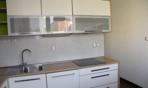 DSCN4089