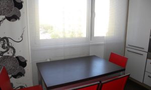 DSCN4091