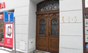 DSCN6445