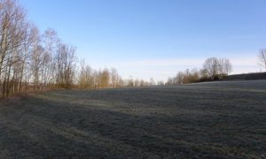DSCN7085