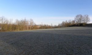 DSCN7087