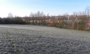 DSCN7089