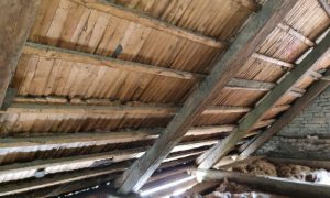 IMG-20231004-WA0020